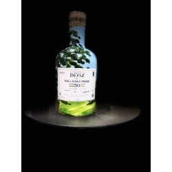 LOT 46 - Château Depaz depuis le parc (5/50)